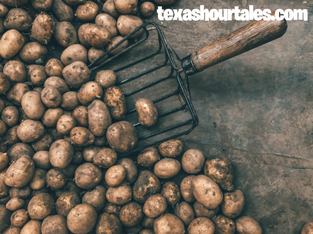 Texas Roadhouse Mashed Potatoes